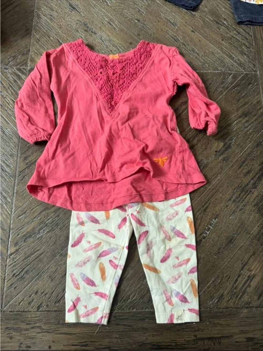 Burt’s Bees Baby Pink Crochet V-Neck Top with Feather Print Leggings